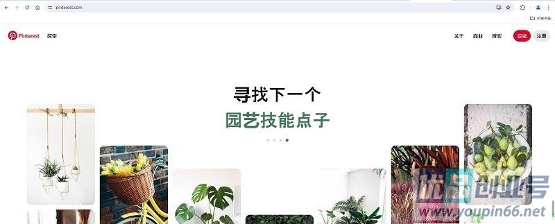 Pinterest官网首页入口（图钉官网登录网址）